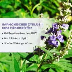 DR.BÖHM Mönchspfeffer 4 mg Filmtabletten 60 St