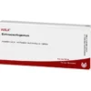 ECHINACEA/ARGENTUM Ampullen 10X1 ml