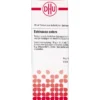 ECHINACEA HAB Extern 20 ml