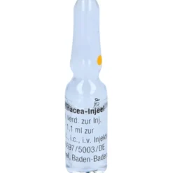 ECHINACEA INJEEL Ampullen 10 St