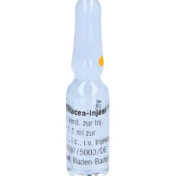 ECHINACEA INJEEL Ampullen 10 St
