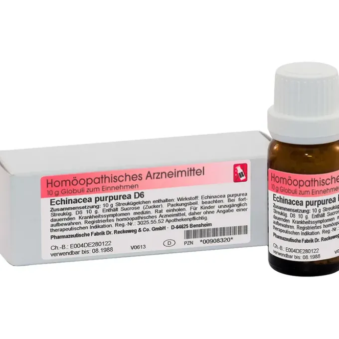 ECHINACEA PURPUREA D 6 Globuli 10 g