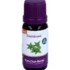 EISENKRAUT ÖL Bio 8% in Jojoba Bio 10 ml