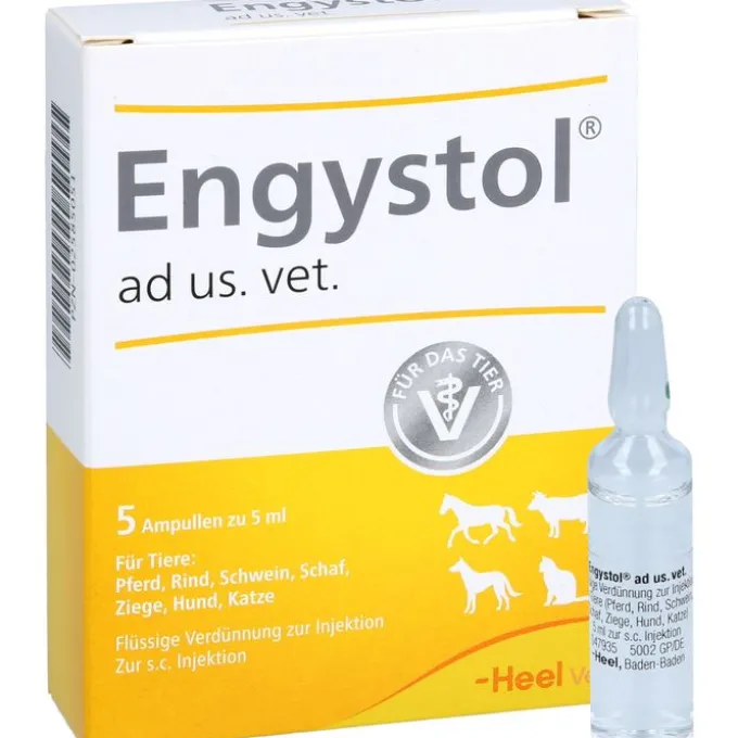 ENGYSTOL ad us.vet.Ampullen 5 St