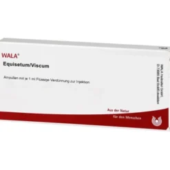 EQUISETUM/VISCUM Ampullen 10X1 ml