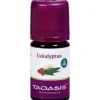 EUKALYPTUS ÖL Bio 5 ml