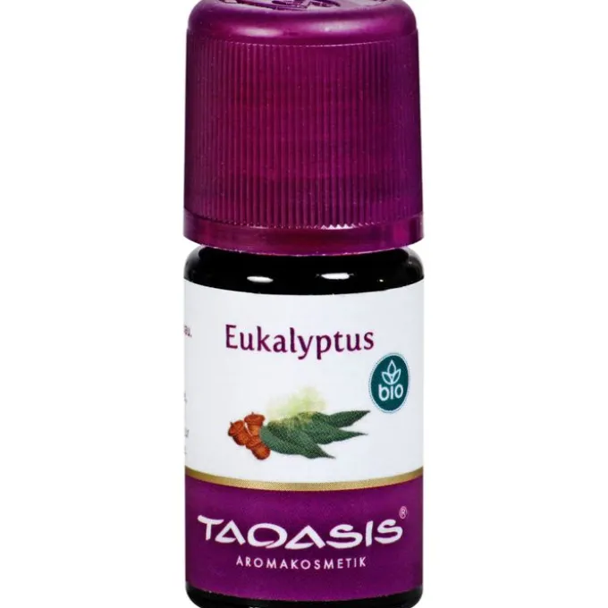 EUKALYPTUS ÖL Bio 5 ml