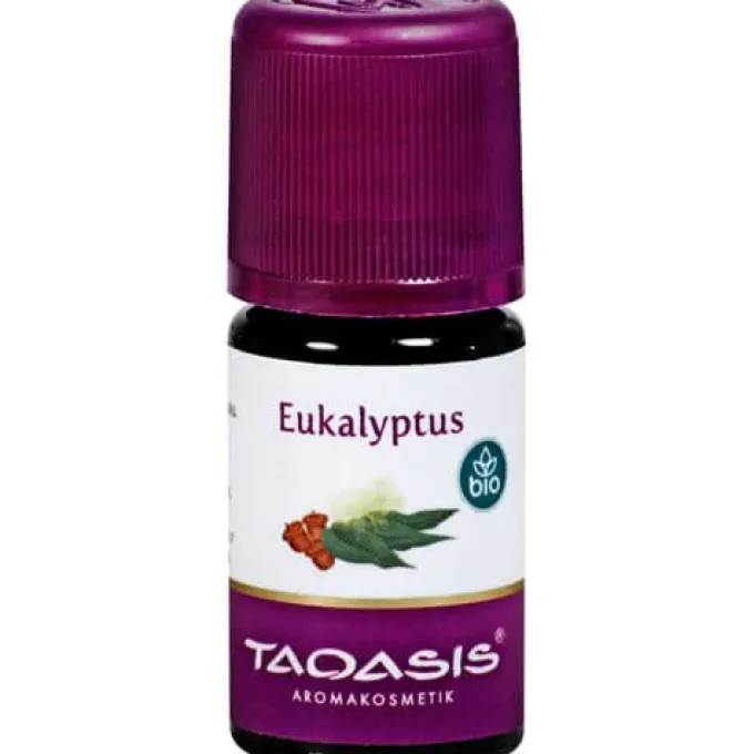 EUKALYPTUS ÖL Bio 5 ml