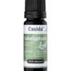 EUKALYPTUS ÖL naturrein ätherisch 10 ml