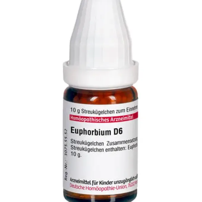 EUPHORBIUM D 6 Globuli 10 g