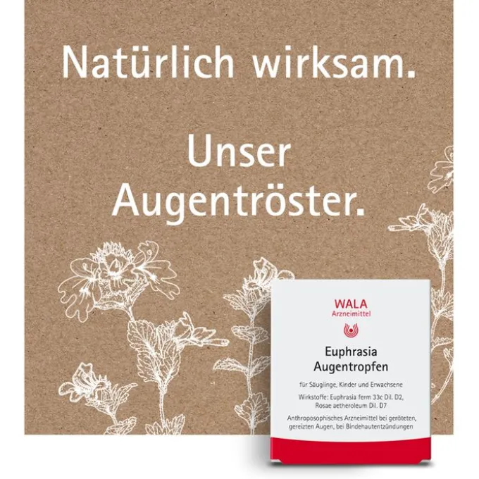 EUPHRASIA AUGENTROPFEN 10 St