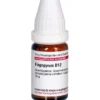 FAGOPYRUM D 12 Globuli 10 g