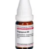FAGOPYRUM D 6 Globuli 10 g