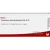 FASCICULUS atrioventricularis GL D 15 Ampullen 10X1 ml