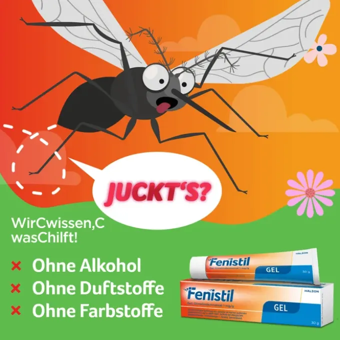 FENISTIL Gel 100 g