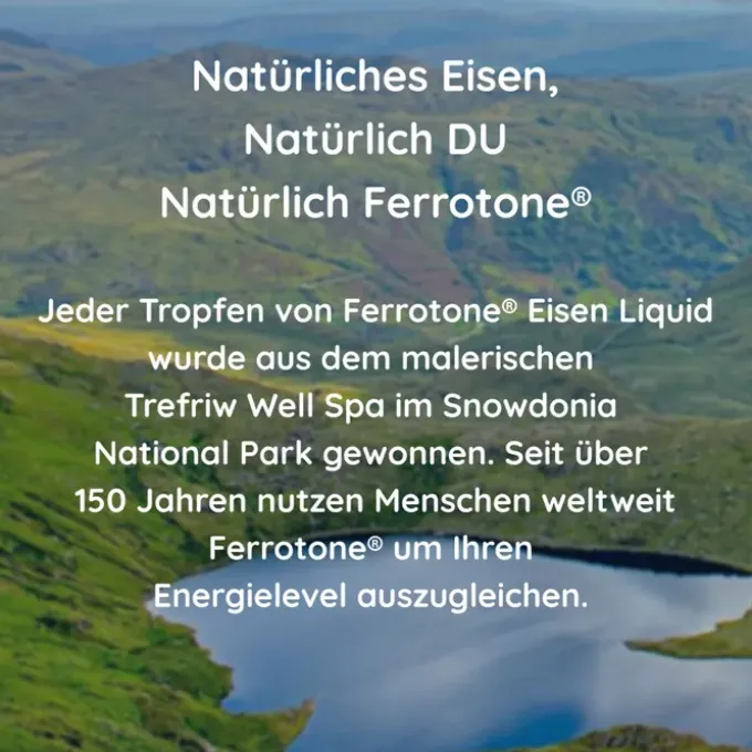 FERROTONE natürliches Eisen Beutel 28 Stück