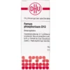 FERRUM PHOSPHORICUM D 12 Globuli 10 g