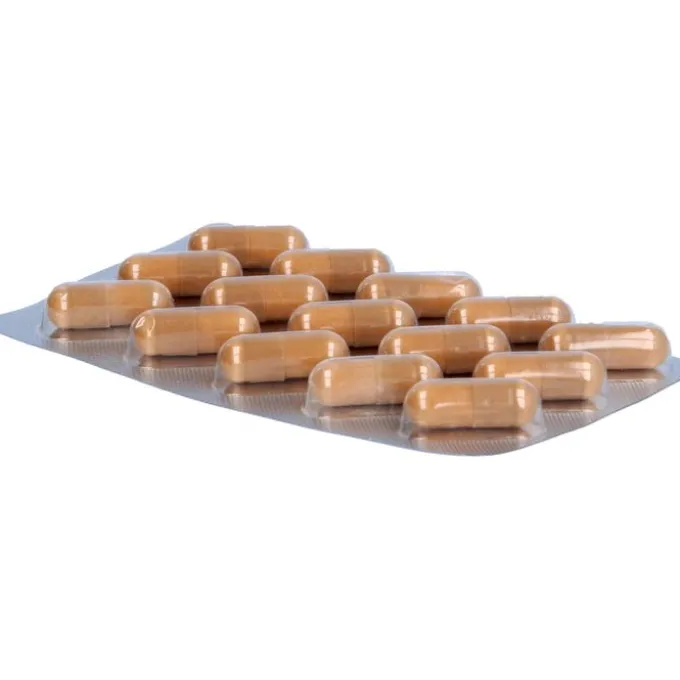 FERTILOVIT M plus Kapseln 90 Stück