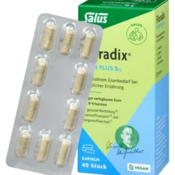 FLORADIX Eisen plus B12 vegan Kapseln 40 Stück