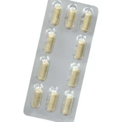 FLORADIX Eisen plus B12 vegan Kapseln 40 Stück