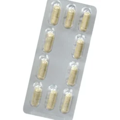 FLORADIX Eisen plus B12 vegan Kapseln 40 Stück