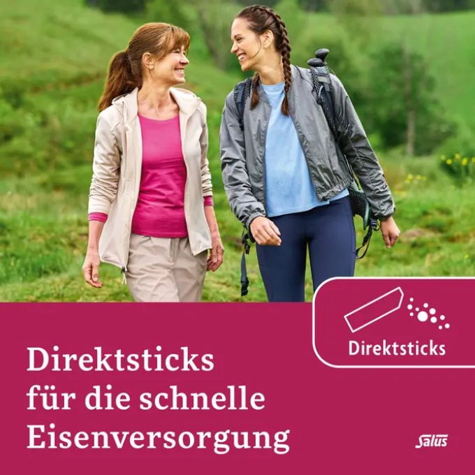 FLORADIX Eisen Sticks Pulver Salus 20 Stück