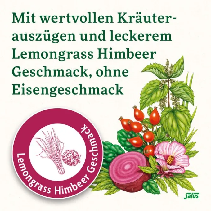 FLORADIX Eisen Sticks Pulver Salus 20 Stück