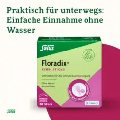 FLORADIX Eisen Sticks Pulver Salus 20 Stück