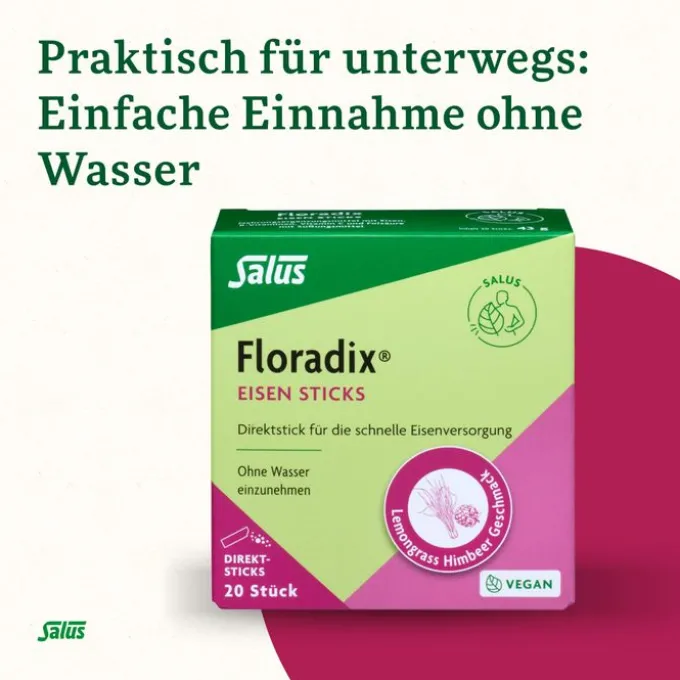FLORADIX Eisen Sticks Pulver Salus 20 Stück