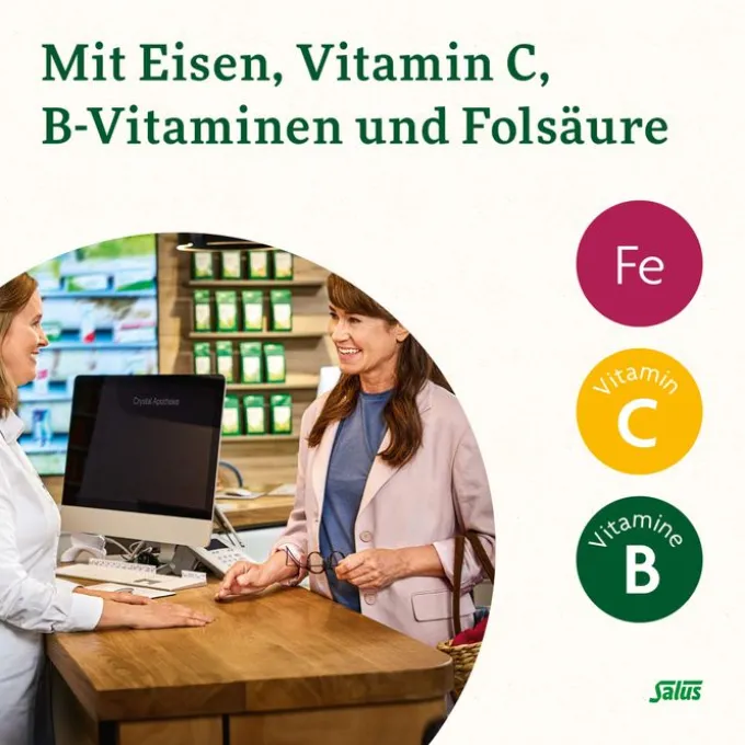 FLORADIX Eisen Sticks Pulver Salus 20 Stück
