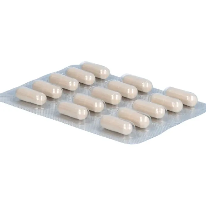 FLORADIX Lactoferrin 100 mg Kapseln 30 Stück