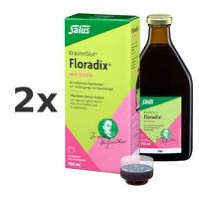 FLORADIX mit Eisen Lösung zum Einnehmen 2x 700ml