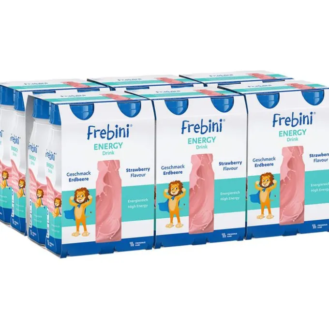 FREBINI Energy Drink Erdbeere Trinkflasche 24 Stück