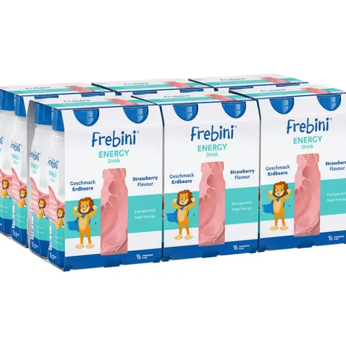 FREBINI Energy Drink Erdbeere Trinkflasche 24 Stück