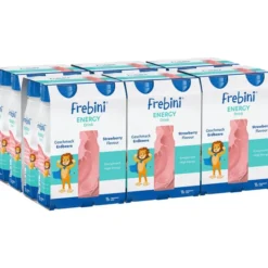 FREBINI Energy Drink Erdbeere Trinkflasche 24 Stück