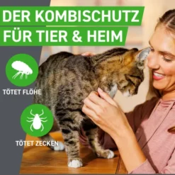 FRONTLINE Combo Spot on Katze Lsg.z.Auft.a.Haut 3 St