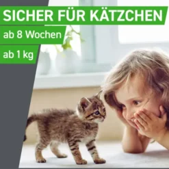 FRONTLINE Combo Spot on Katze Lsg.z.Auft.a.Haut 3 St