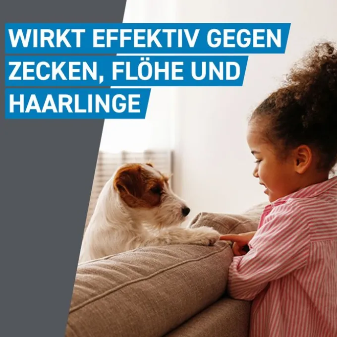 FRONTLINE Spot on H 40 Lösung f.Hunde 3 St