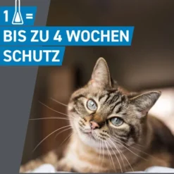 FRONTLINE Spot on K Lösung f.Katzen 3 St