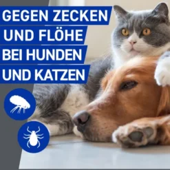 FRONTLINE Spray f.Hunde/Katzen 100 ml