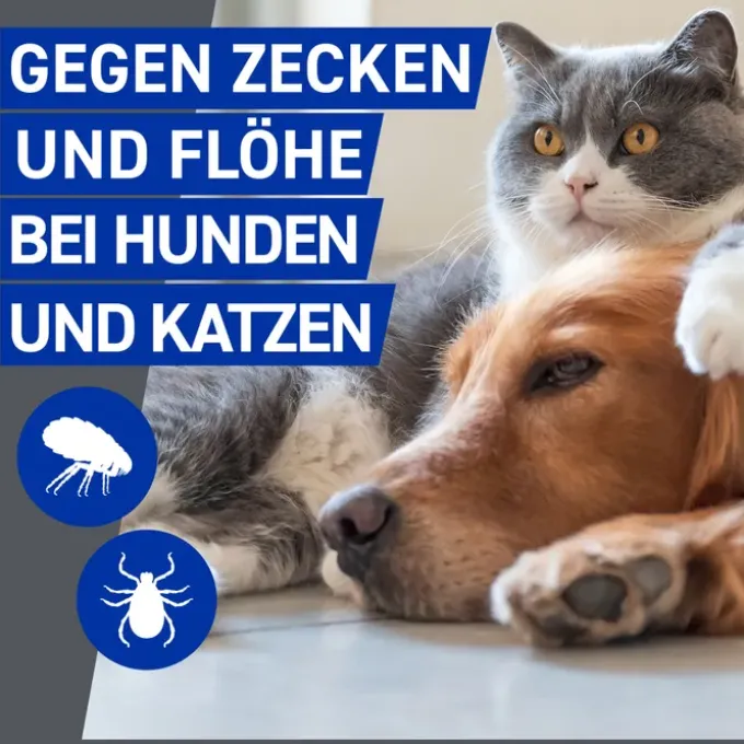 FRONTLINE Spray f.Hunde/Katzen 100 ml