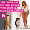 FRONTLINE Tri-Act Lsg.z.Auftropfen f.Hunde 20-40kg 3 St