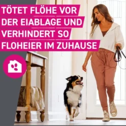 FRONTLINE Tri-Act Lsg.z.Auftropfen f.Hunde 20-40kg 3 St