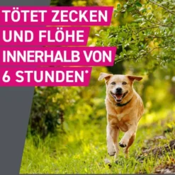 FRONTLINE Tri-Act Lsg.z.Auftropfen f.Hunde 20-40kg 3 St