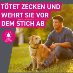 FRONTLINE Tri-Act Lsg.z.Auftropfen f.Hunde 10-20kg 3 St