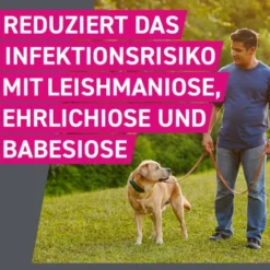 FRONTLINE Tri-Act Lsg.z.Auftropfen f.Hunde 10-20kg 3 St
