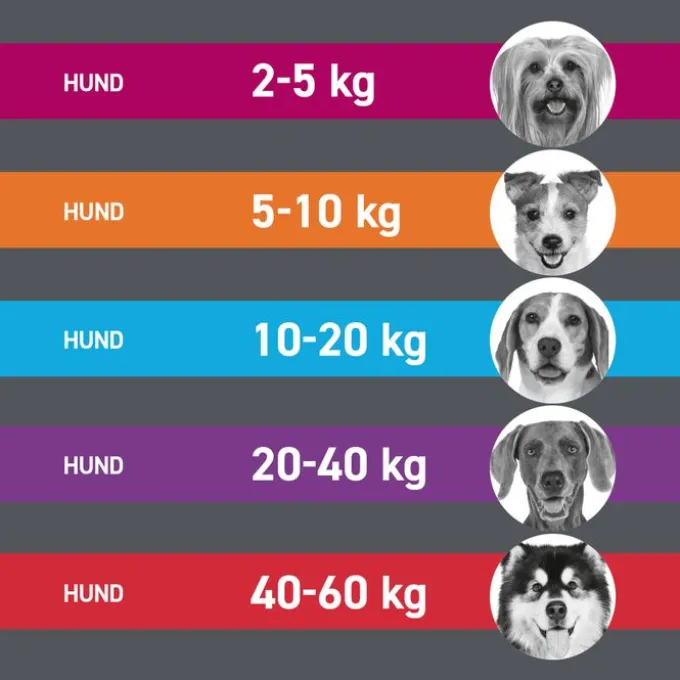 FRONTLINE Tri-Act Lsg.z.Auftropfen f.Hunde 2-5 kg 3 St