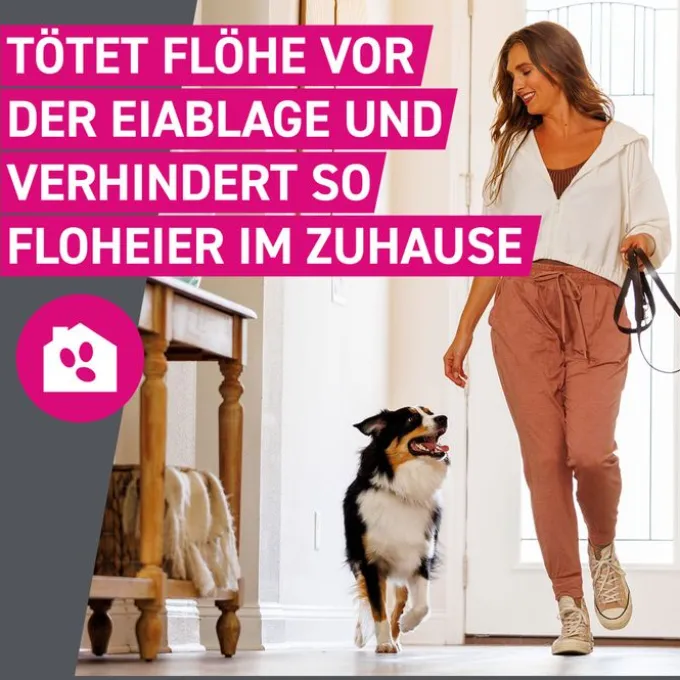 FRONTLINE Tri-Act Lsg.z.Auftropfen f.Hunde 2-5 kg 3 St