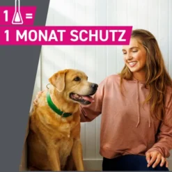 FRONTLINE Tri-Act Lsg.z.Auftropfen f.Hunde 2-5 kg 3 St