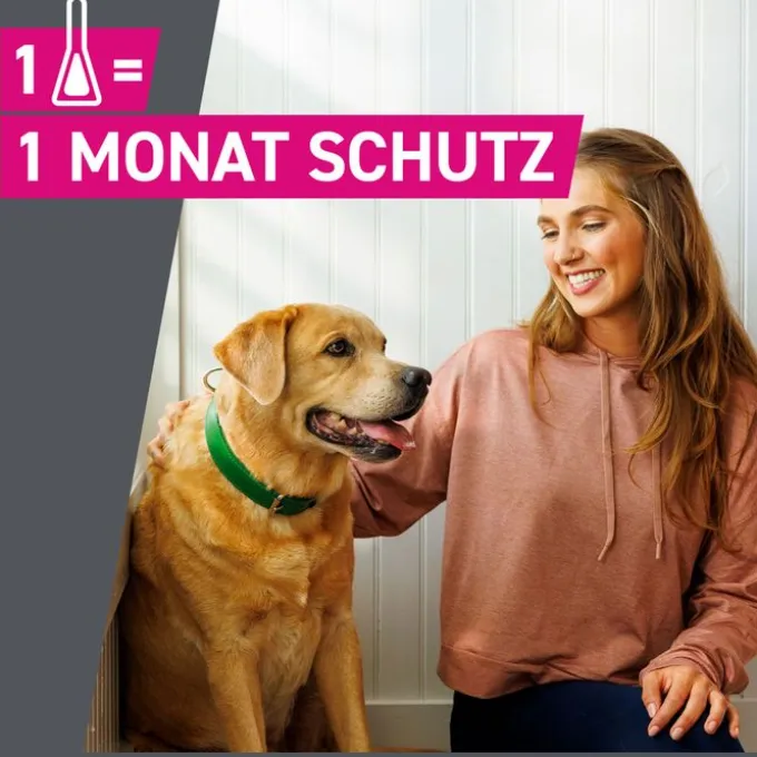 FRONTLINE Tri-Act Lsg.z.Auftropfen f.Hunde 2-5 kg 3 St